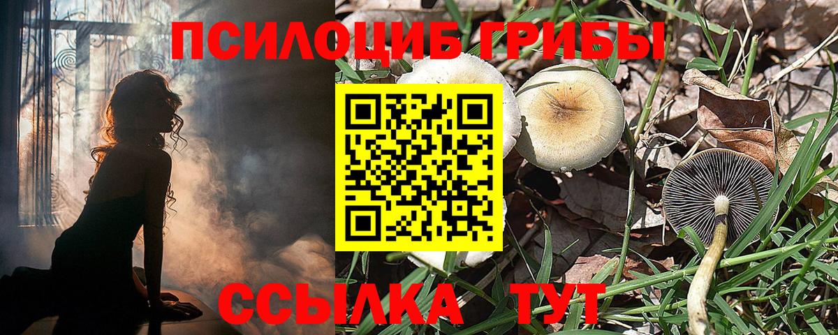 Краснокамск  Галлюциногенные грибы прущие грибы  Вход с VPN 